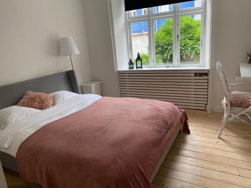 a bedroom with a large bed and a window at Carolina in Aalborg