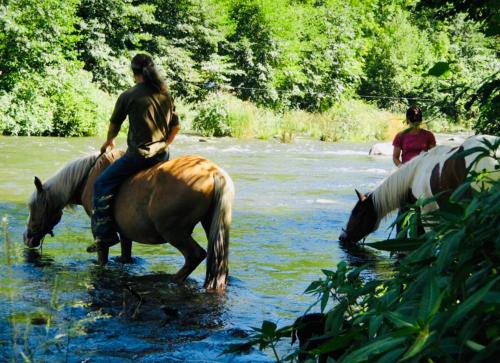 a man riding a horse in the water at La Kabylie au coeur des 3 Vallées internet tout compris in Tarascon-sur-Ariège
