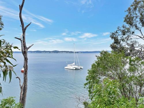 a sail boat in the water with trees at Wangi Waterfront HIdeaway in Wangi Wangi