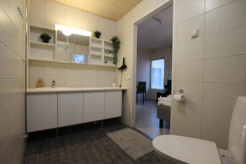 W pokoju znajduje się łazienka z umywalką i toaletą. w obiekcie Teemahostel w mieście Toivakka