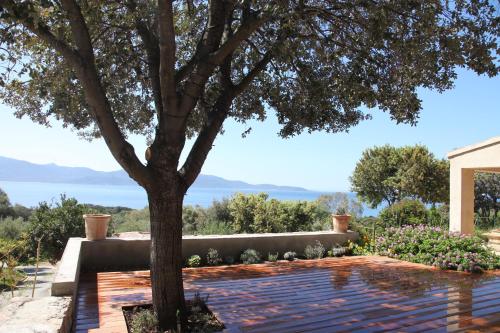 Ogliastrello – Photos 3