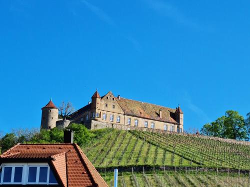 a castle on top of a hill with vines at Hotel Landgasthof Fromm in Untergruppenbach