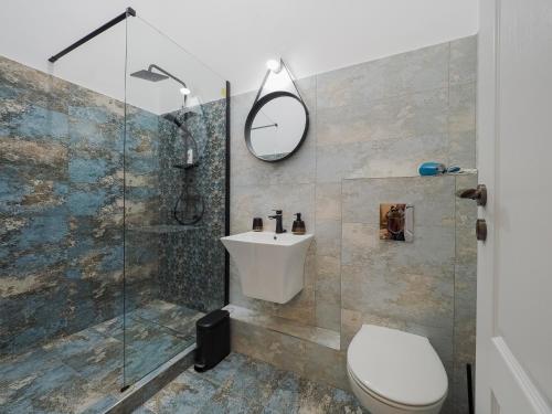 a bathroom with a shower and a toilet and a sink at ELISABETH HOME Piata Mare in Sibiu