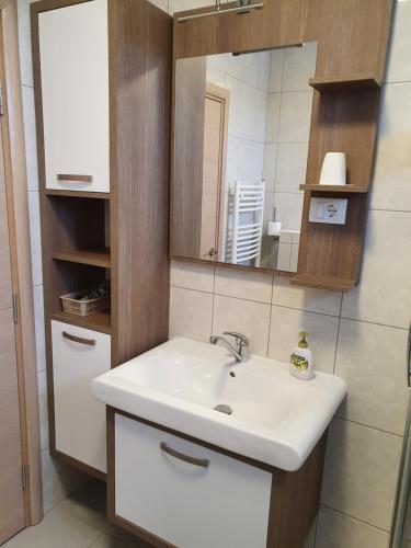 ein Bad mit einem Waschbecken und einem Spiegel in der Unterkunft Slavuj in Novi Sad