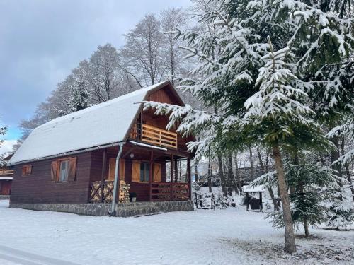 a log cabin in the snow with a tree at Sikaszoi vizimalom in Sicasău