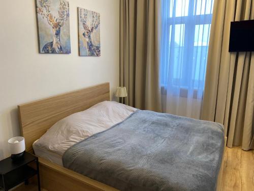 een slaapkamer met een bed en een raam bij Apartament w centrum in Kościerzyna