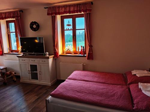 a bedroom with a bed and a tv and windows at Matějovec 109 & Ubytování Na statku in Český Rudolec