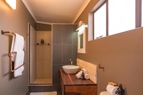 ein Bad mit einem Waschbecken und einer Dusche in der Unterkunft Gondwana Kalahari Anib Lodge in Hardap