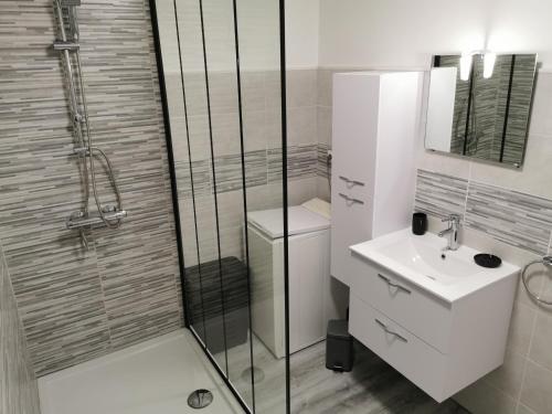 a bathroom with a shower and a toilet and a sink at Appartement cosy entièrement équipé in Villeneuve-sur-Lot