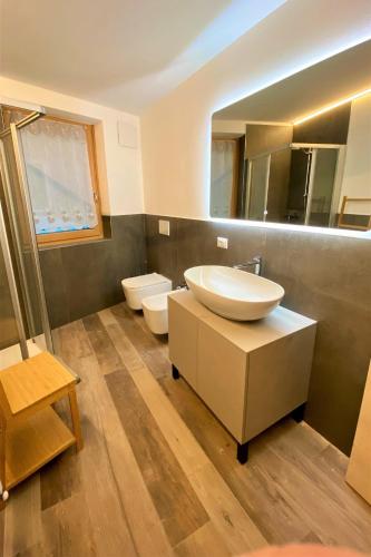 a bathroom with a sink and a mirror at RESIDENZA IL RICCIO in Andalo