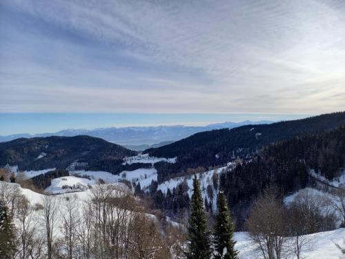 a view of a snow covered valley with trees and mountains at Ferienwohnung Simonhöhe in Zirkitz