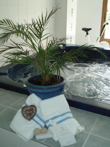 une plante en pot dans une baignoire avec une plante dans l'établissement Chalet Beausoleil 4 étoiles - jacuzzi - au pied du Col de la Croix de Fer, à Saint-Sorlin-dʼArves