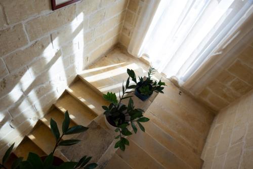 a room with two potted plants and a window at Centre Island Holiday Home with private pool and hot tub in Kerċem
