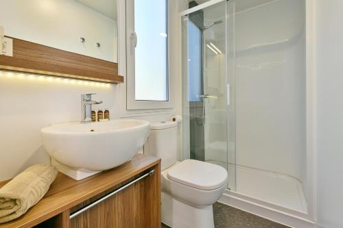 a bathroom with a sink and a toilet and a shower at Polidor Camping Resort in Poreč
