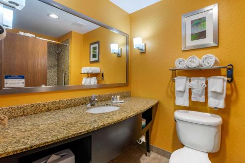 Vonios kambarys apgyvendinimo įstaigoje Comfort Suites At Fairgrounds-Casino
