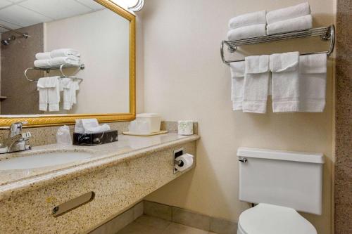 Quality Inn Ledgewood - Doverにあるバスルーム