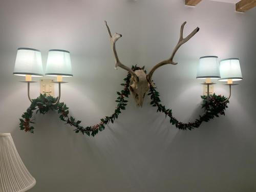 a pair of antlers with christmas decorations on a wall at Beautiful Cottage near Harlech with ocean views in Llanfair