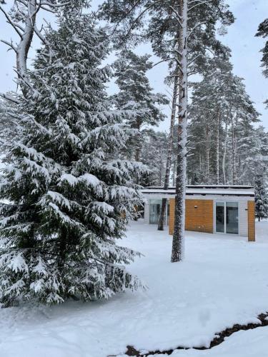 a house in the snow with a tree at Green Gold Park in Selishche