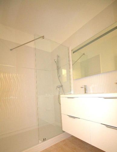 une salle de bain avec une douche en verre et un lavabo dans l'établissement Appartement bord de mer Marina Baie des Anges, à Villeneuve-Loubet