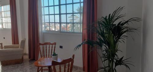 a living room with a table and a potted plant at CASA SARA (SARA'S HOUSE) in Güimar