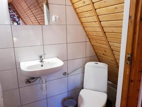a bathroom with a toilet and a sink at Willa Góralka in Karpacz