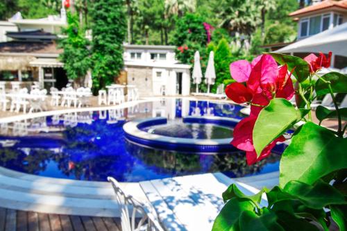 uma piscina com uma flor vermelha no primeiro plano em Joya Del Mar Hotel em Marmaris