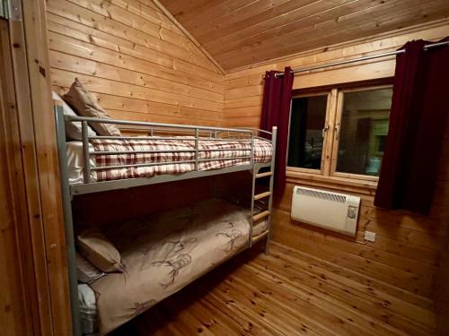 a bunk bed in a wooden room with a window at Tufty Lodge, Lake Pochard lodge 9 in South Cerney