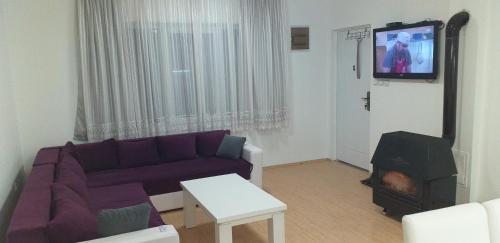 TV a/nebo společenská místnost v ubytování Apartmani Grza