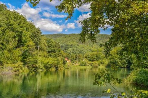 a view of a river with trees and mountains in the background at Apartmani Grza in Paraćin