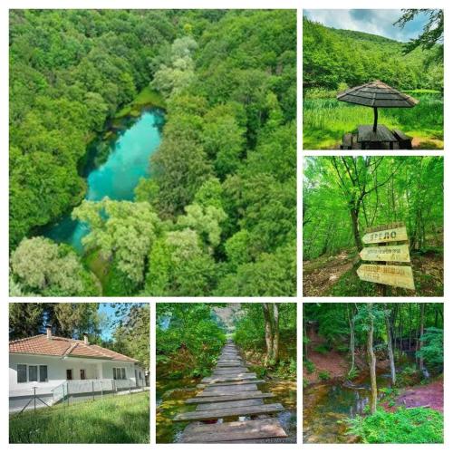 a collage of pictures of a river and a bridge at Apartmani Grza in Paraćin