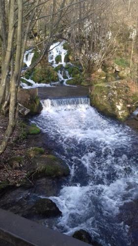 a stream of water with rocks and trees at Apartmani Grza in Paraćin
