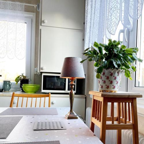 a table with a lamp and a potted plant on it at Photoeverhome in Bengtsfors