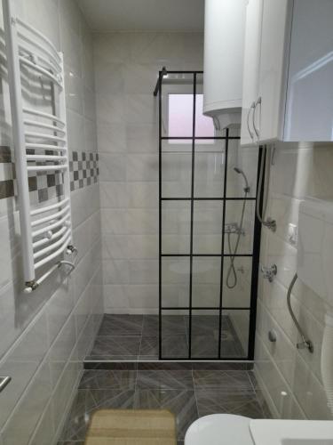 a bathroom with a shower and a toilet at V & V Studio Apartments in Niš