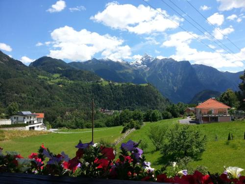 a view of mountains from a green field with flowers at Haus Alpenglühn in Sautens