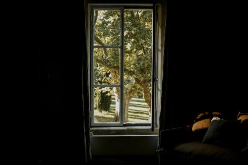 a window in a room with a tree outside at Mas des Prêcheurs in Tarascon