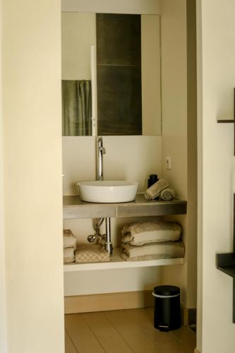 a bathroom with a sink and a shelf with towels at Mas des Prêcheurs in Tarascon