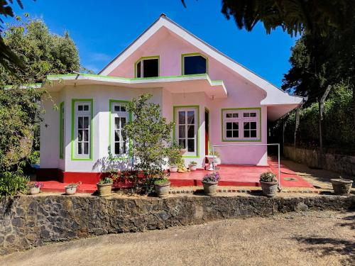 a pink house with potted plants in front of it at Nuwara eliya mountain view homestay in Nuwara Eliya