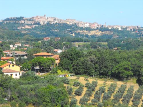 a town on a hill with trees and houses at La Piccola Siesta b&b in Montepulciano