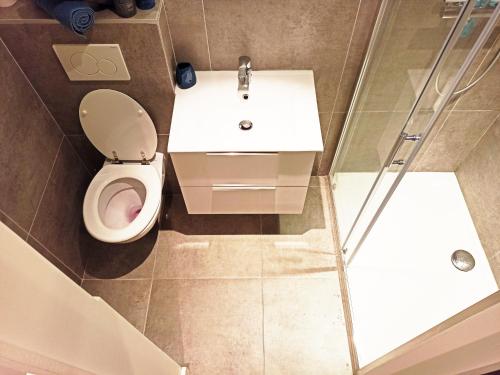 uma casa de banho com um WC, um lavatório e um chuveiro em Studio Chaleureux em Pont-sur-Seine