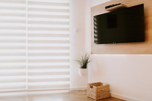 een woonkamer met een flatscreen-tv aan de muur bij Apartman SREBRNA PAHULJA in Divčibare