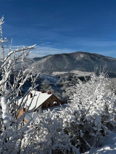 a house covered in snow with trees in the foreground at Купецький Двір in Mizhhirʼʼya