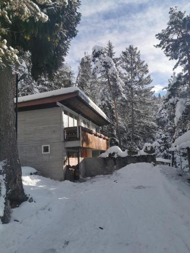 a house is covered in snow with trees at Chalet nel bosco in Borca di Cadore