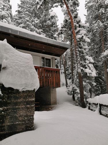 a house covered in snow in the woods at Chalet nel bosco in Borca di Cadore