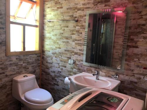 ein Badezimmer mit einem Waschbecken, einem WC und einem Spiegel in der Unterkunft Cabaña 1 Crucerito in Castro