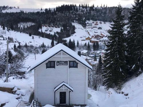 Villa Olexandr&Matvii að vetri til