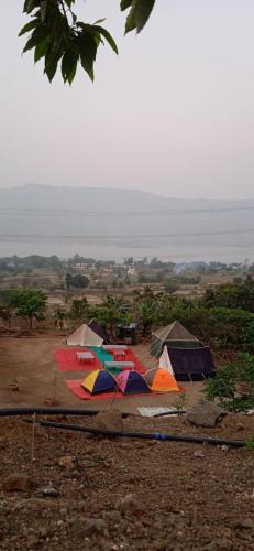 a group of colorful umbrellas sitting on the ground at Jandyal Farm House in Malshej Ghat