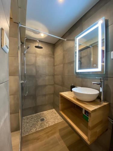 une salle de bain avec un lavabo et une douche dans l'établissement Magnifique studio hyper centre plage et commerce (capacité 4 personnes), à Saint-Jean-de-Luz