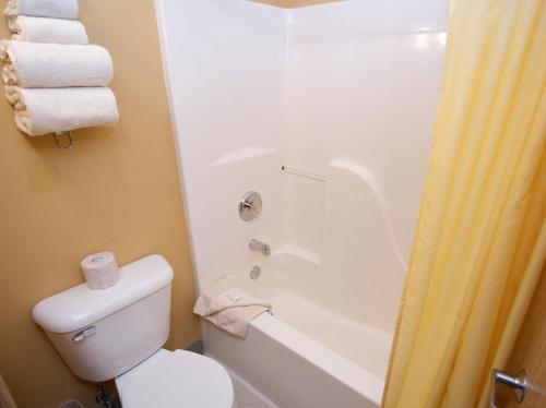 Kupatilo u objektu Denali Bluffs Hotel