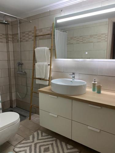 bagno con lavandino, servizi igienici e specchio di CASA MILITOU-NEA FILADELFIA ad Atene