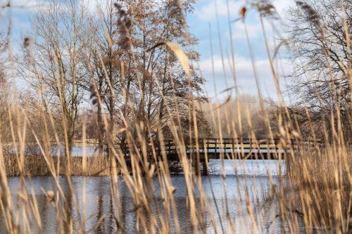 a bridge over a body of water with tall grass at Vakantiewoning Maas en Waal 277 in Ewijk